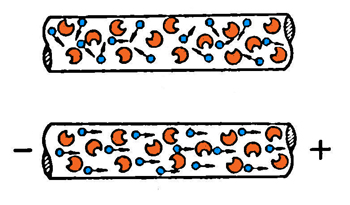 pole3